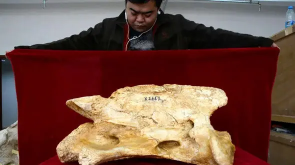 کشف فسیل بزرگترین کرگدن در جهان + عکس