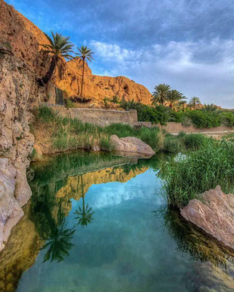 طبس8