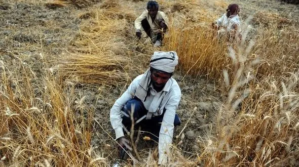 مشکلات اقتصادی به مشکلات اجتماعی و امنیتی منجر می شوند / مهاجرت دیروز نخبگان، درد امروز ایران شد