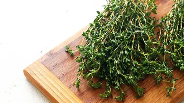 راز درمان نفخ و مشکلات گوارشی در یک چاشنی پرطرفدار