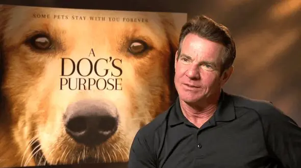 بازیگر مشهور سینما به حیوان آزاری متهم شد! +عکس