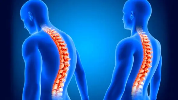 سنگ پا ضد درد کمر و گردن 