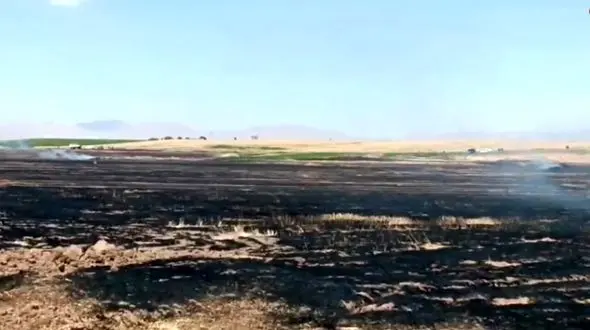 آذرخش سبب آتش سوزی زمین های کشاورزی ایلام شد