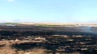 آذرخش سبب آتش سوزی زمین های کشاورزی ایلام شد