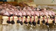 گوشت پرندگان مهاجر زیر دندان خارجی ها / چند روز بیشتر به آغاز مهمان کشی در فریدونکنار باقی نمانده است