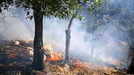 آتش در دل جنگلها و مراتع پارک ملی دنا زبانه می کشد