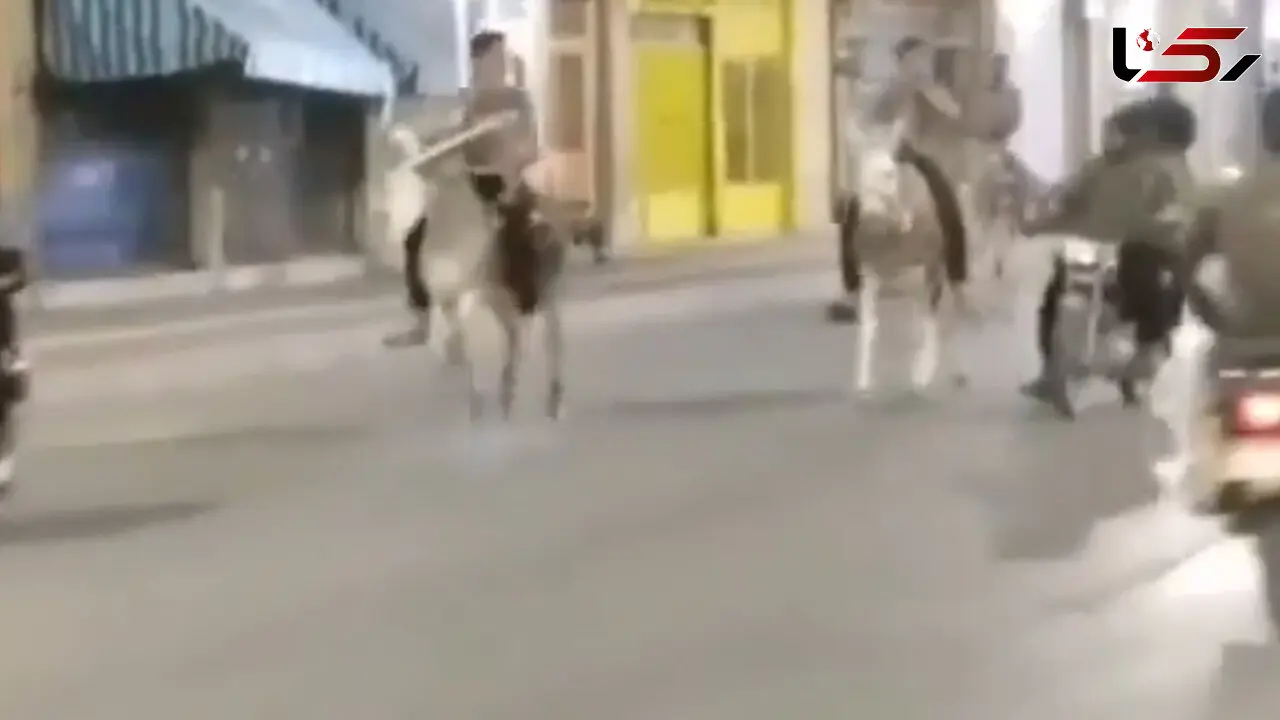 فیلم الاغ سواری گروهی وسط شهر برای فرار از محدودیت های شبانه 