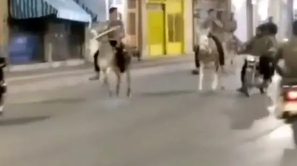 بازداشت الاغ سواران کرونایی در فارس ! / این فیلم لو داد!