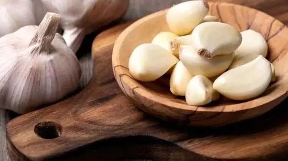 سیر داروی موثر بر کرونا