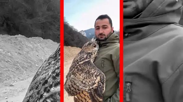 فیلم صحنه ای شگفت انگیز از بغل کردن جغد توسط مرد