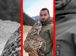 فیلم صحنه ای شگفت انگیز از بغل کردن جغد توسط مرد