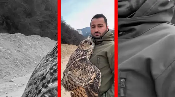 فیلم صحنه ای شگفت انگیز از بغل کردن جغد توسط مرد