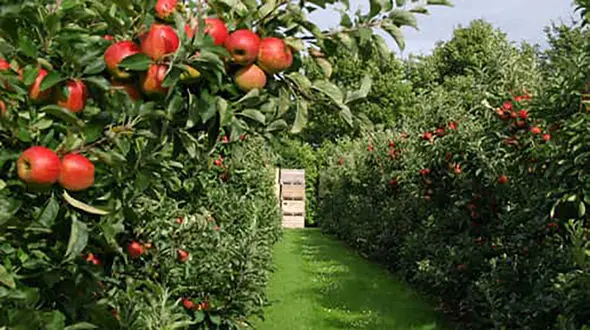 فال ترکیبی متولدین 4 فصل + فیلم