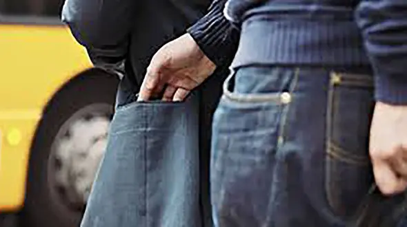 جیب برها بیشتر در کجا زندگی می کنند؟