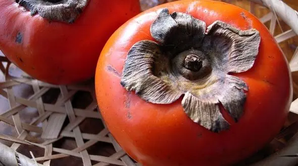 میوه پاییزی با خاصیت درمانی؛ از درمان سنگ کلیه تا بینایی
