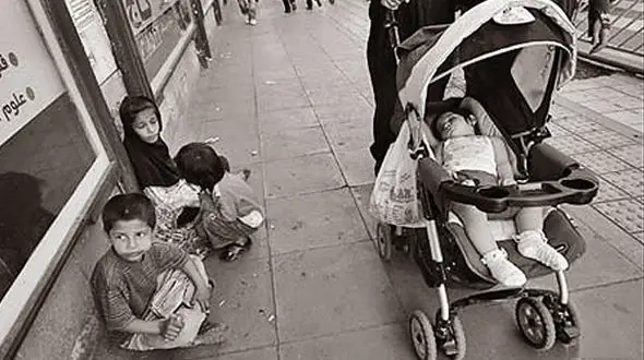 خرید و  فروش نوزدان از 200 هزار تومان تا قیمت های میلیونی