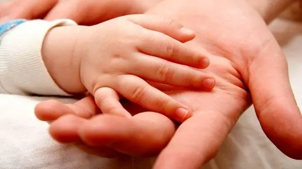 نرخ باروری در ۱۵ استان افزایشی شد