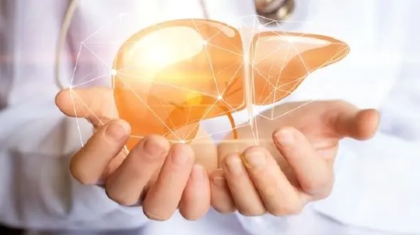 گیاهان معجزه گر برای درمان بیماری کبدی