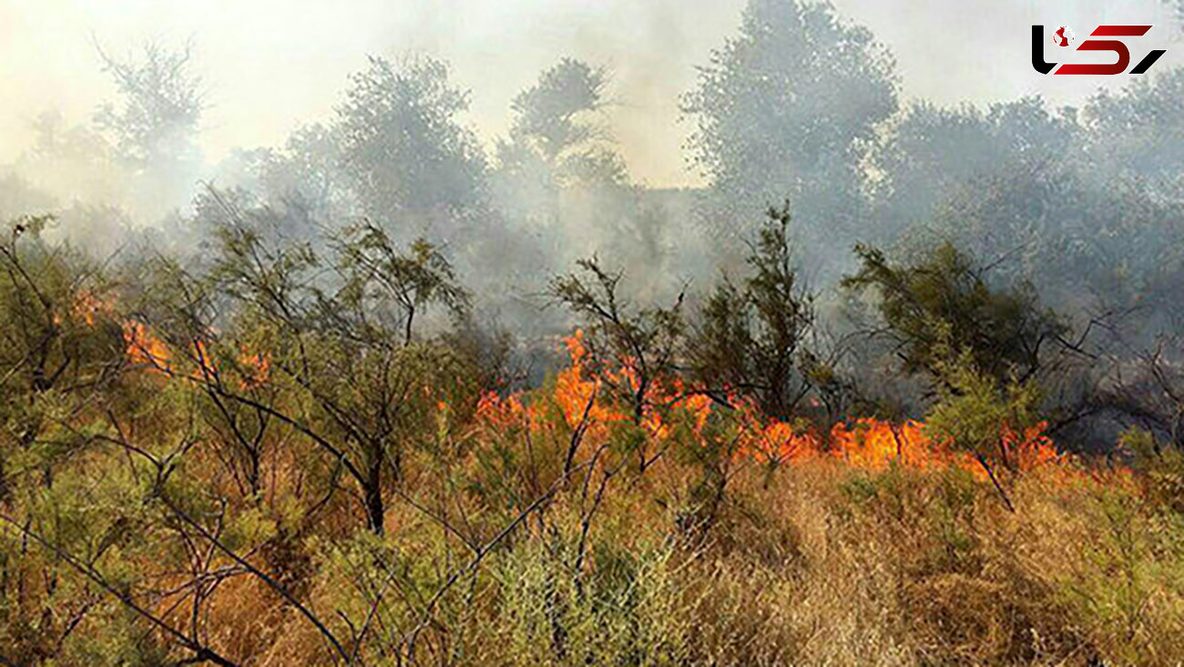 مهار آتش سوزی مناطق جنگلی سردشت