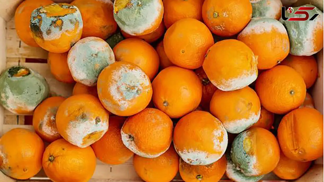 این غذاها در یخچال سمی می شوند