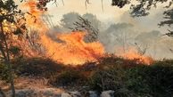 بالگرد برای اطفای آتش جنگل های جهان نما درخواست شد، اما نیامد / بیش از 50 هکتار از جنگل های گلستان سوختند + فیلم