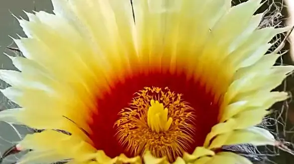 از ادامه دادن دست نکشید