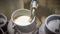 نظارت بر عرضه ۹۰۰ تن شیر به منظور پیشگیری از تب مالت در دهلران
