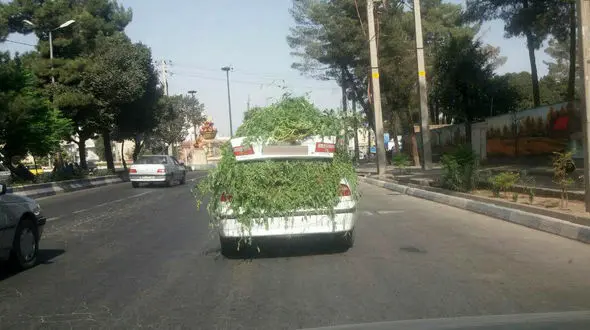 عجیب ترین حمل بار با سمند! + عکس