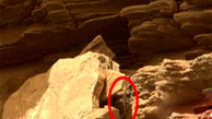 ناسا در سیاره سرخ مار کشف کرد