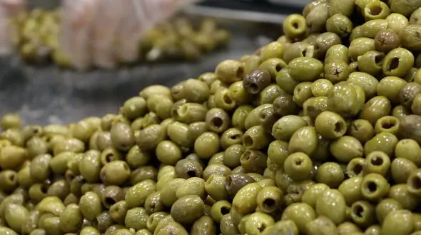 پوکی استخوان را با مصرف زیتون شکست دهید