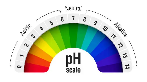 غذاهای اسیدی و قلیایی را بشناسیم