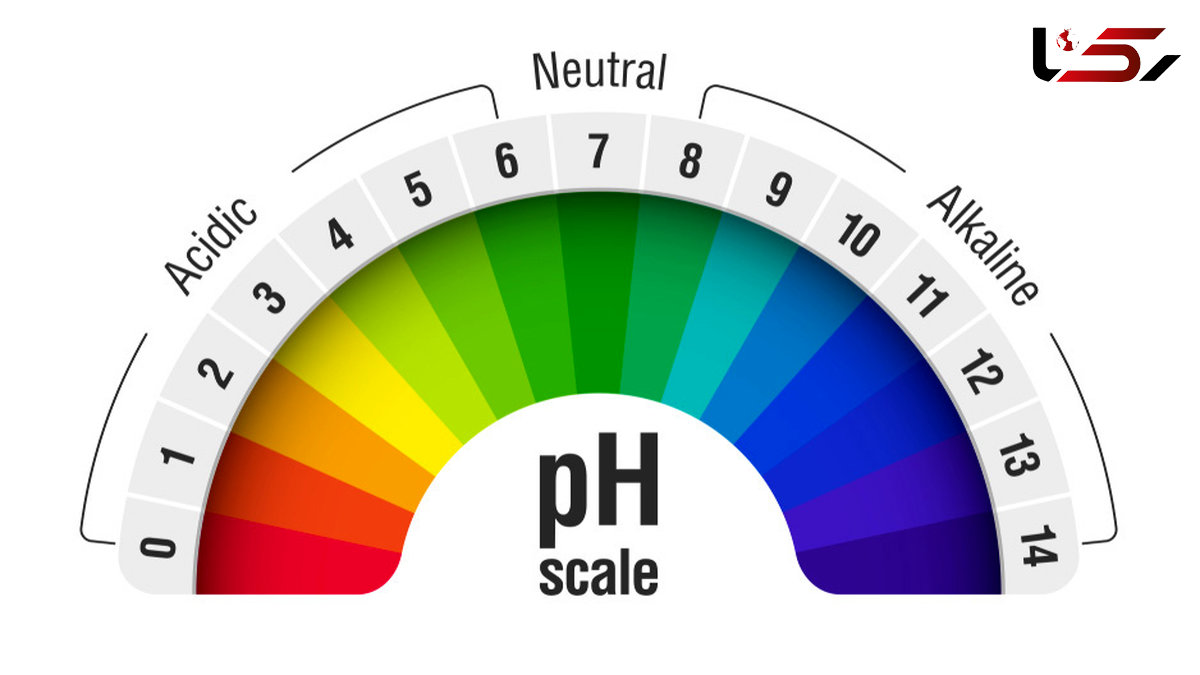 غذاهای اسیدی و قلیایی را بشناسیم