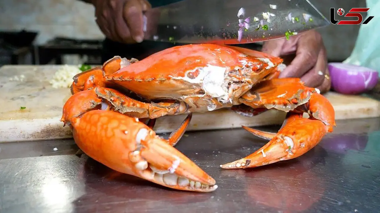 غذاهای محلی سریلانکا را بشناسید؛ پخت خرچنگ، ماهی و ماهی مرکب به سبک روستایی + فیلم