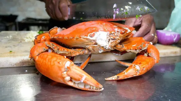 غذاهای محلی سریلانکا را بشناسید؛ پخت خرچنگ، ماهی و ماهی مرکب به سبک روستایی + فیلم