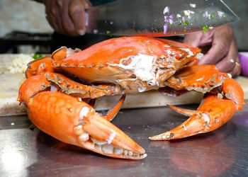 غذاهای محلی سریلانکا را بشناسید؛ پخت خرچنگ، ماهی و ماهی مرکب به سبک روستایی + فیلم