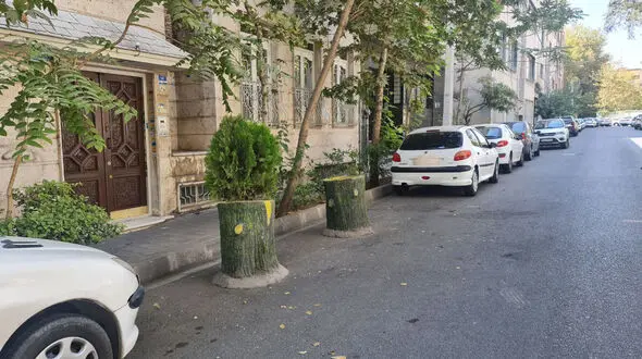 56 هزار کارمند شهرداری تخلفات شهر را نمی بینند؛ حتما مردم باید برای بدیهیات با 137 تماس بگیرند؟ / نصب گلدان و کله قندی جلوی خانه ها تخلف است + فیلم