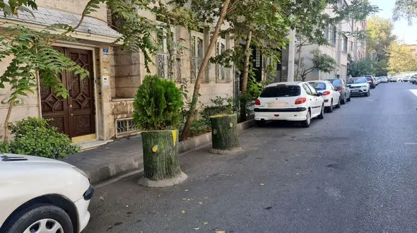 56 هزار کارمند شهرداری تخلفات شهر را نمی بینند؛ حتما مردم باید برای بدیهیات با 137 تماس بگیرند؟ / نصب گلدان و کله قندی جلوی خانه ها تخلف است + فیلم