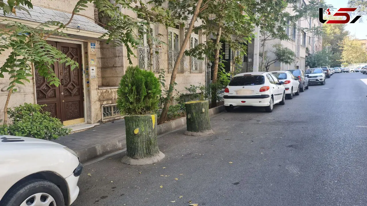 56 هزار کارمند شهرداری تخلفات شهر را نمی بینند؛ حتما مردم باید برای بدیهیات با 137 تماس بگیرند؟ / نصب گلدان و کله قندی جلوی خانه ها تخلف است + فیلم