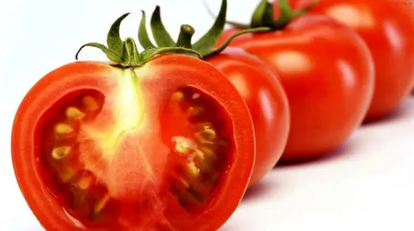 قسمت سمی گوجه فرنگی کجاست؟