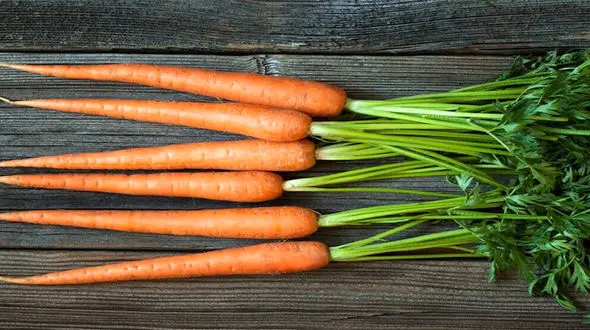 علت گرانی قیمت هویج اعلام شد