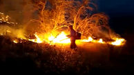 فیلم  اسفناک از  آتش جنگل های "دیل" گچساران ! / بعد از 4 روز مهار شد