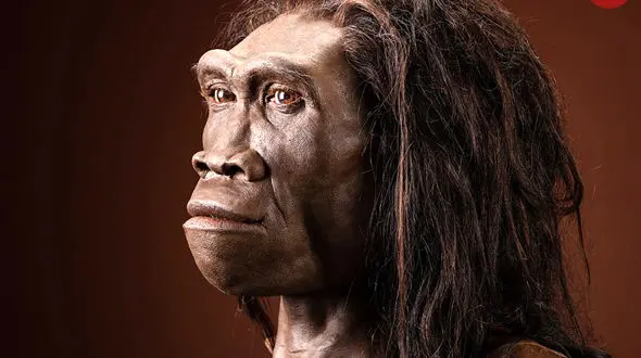 کوتاه‌ترین گونه انسان فقط یک متر قد داشت