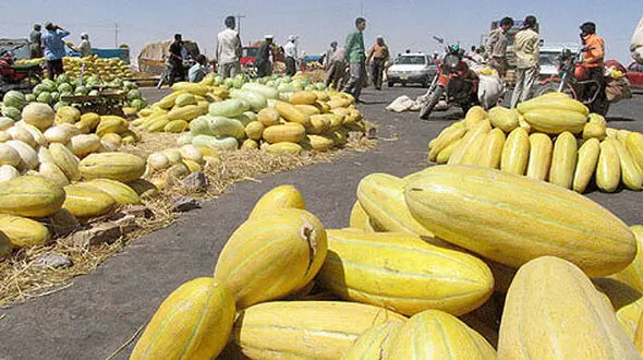 درآمد میلیاردی تجارت پوست خربزه 