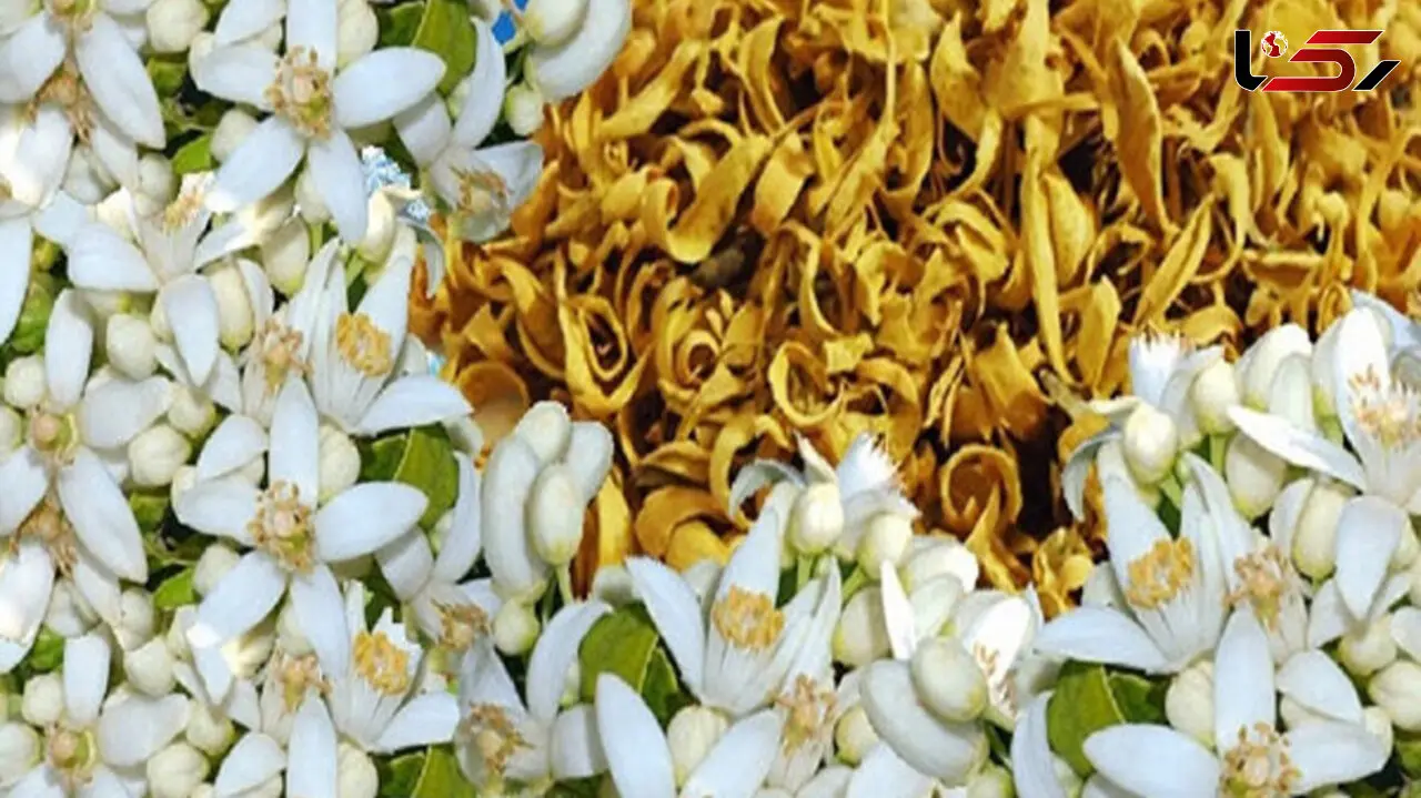 راهکارهای طب سنتی برای افزایش وزن