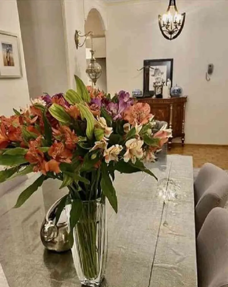 منزل نرگس محمدی