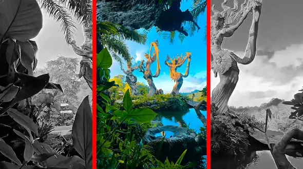 فیلم طبیعت و هنر در دل جنگل بالی