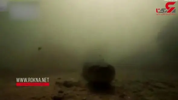 وحشتناکترین لحظه برای غواص برزیلی در زیر دریا / او خود را خورده شده دید ! + فیلم