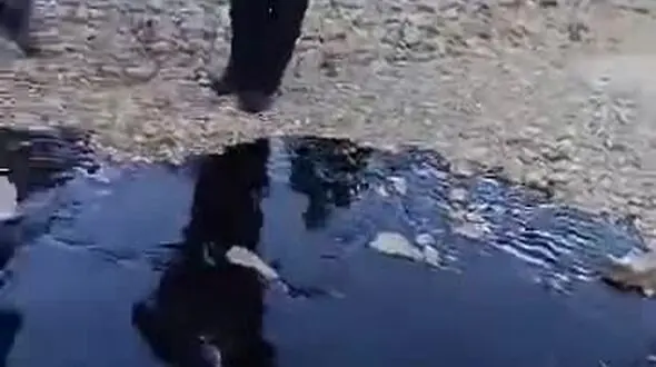 فیلم فوران نفت در یکی از خیابان های خوزستان