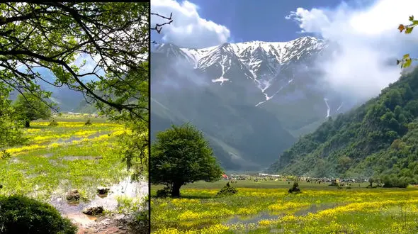 سفر به شهسوار برای دیدن دشت زیبای دریاسر  + فیلم 