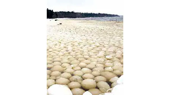 کشف توپ های شگفت انگیز درسواحل روسیه + عکس